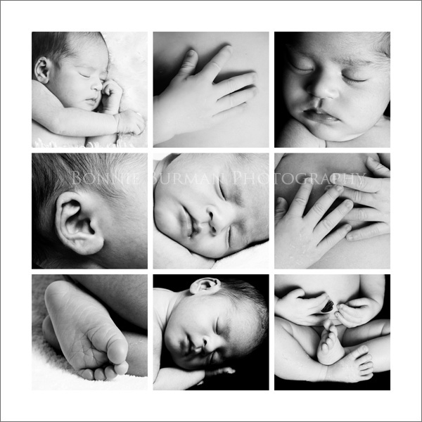 Newborn Portraits Collage